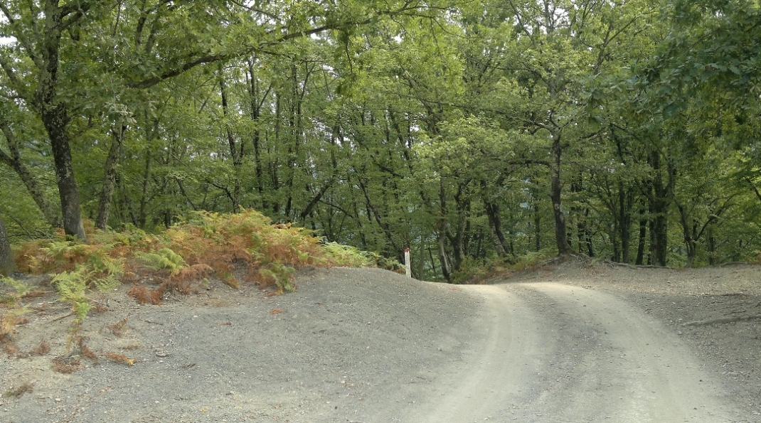 Верхнеармянское Лоо и вокруг, image of landscape/habitat.