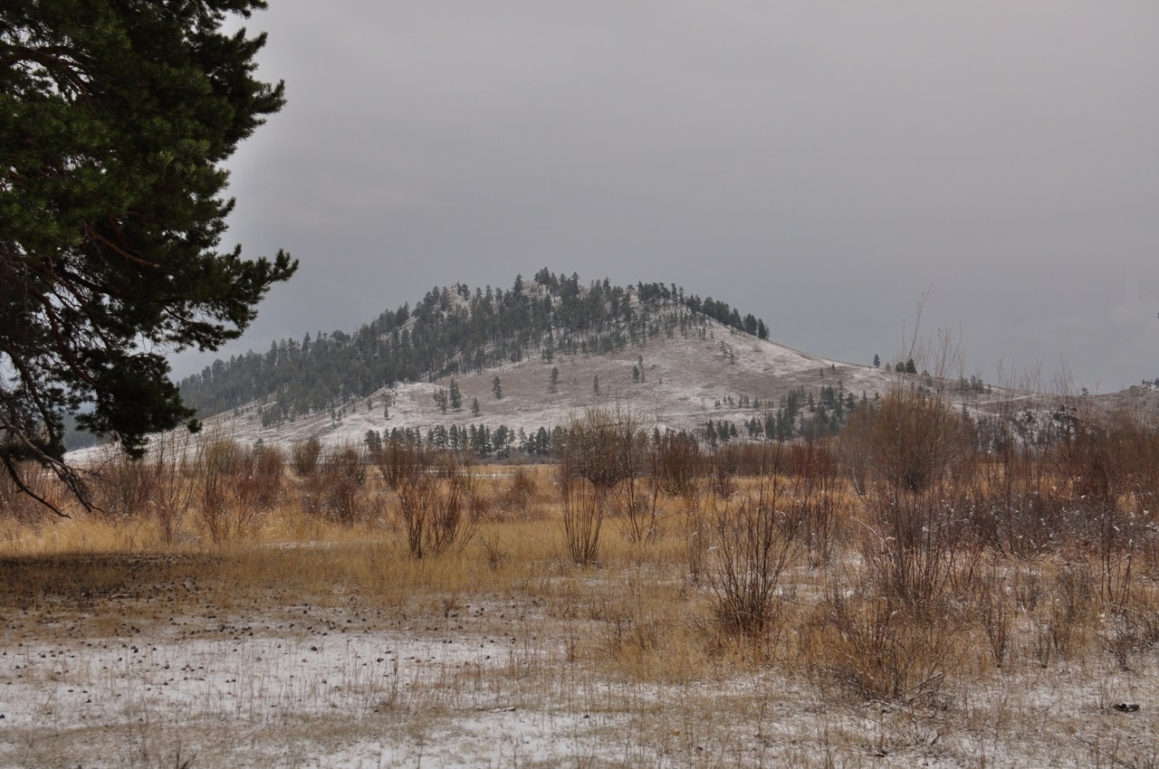 Озеро Тунгэр-Болдок, image of landscape/habitat.