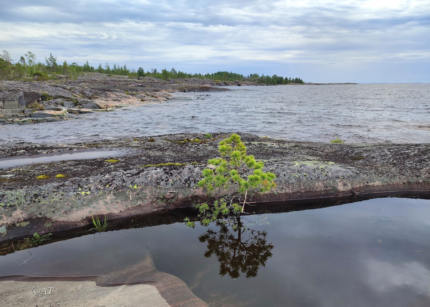 Остров Сюскюянсаари, image of landscape/habitat.