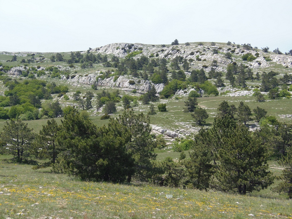 Ай-Петри, image of landscape/habitat.