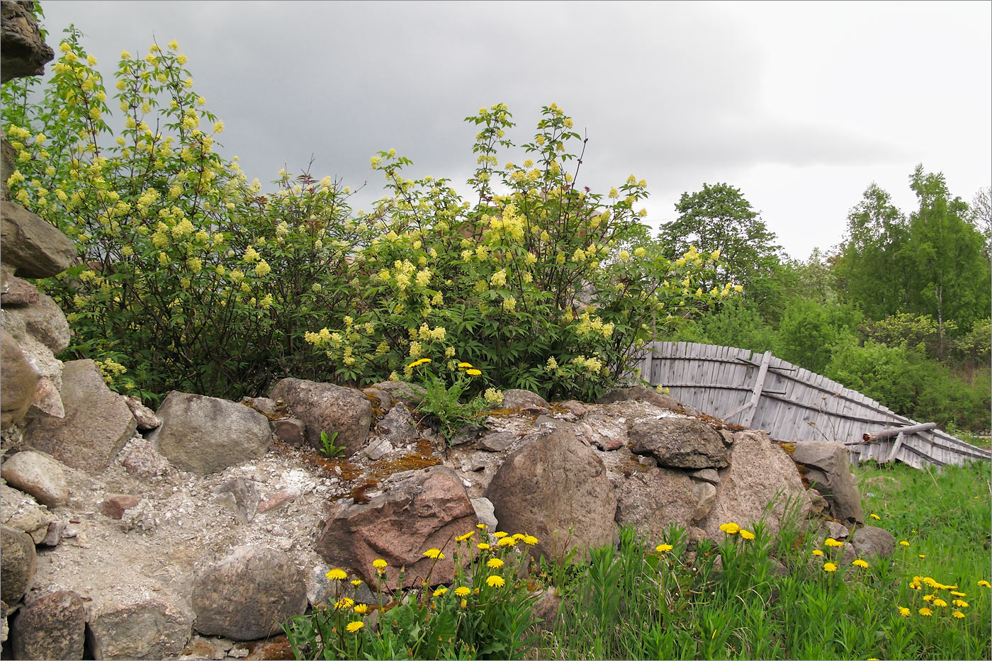 Великино, image of landscape/habitat.