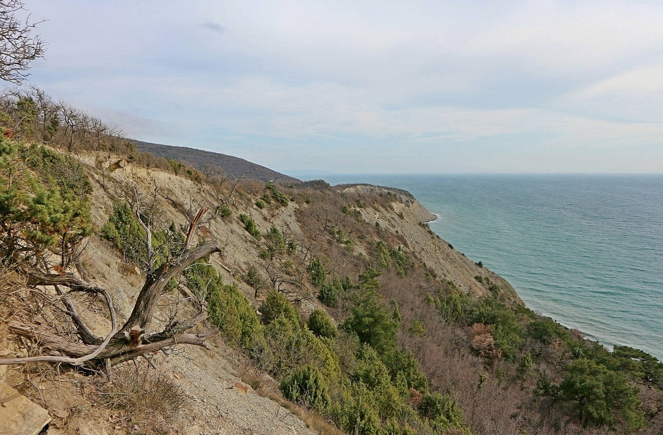 Широкая Балка, image of landscape/habitat.