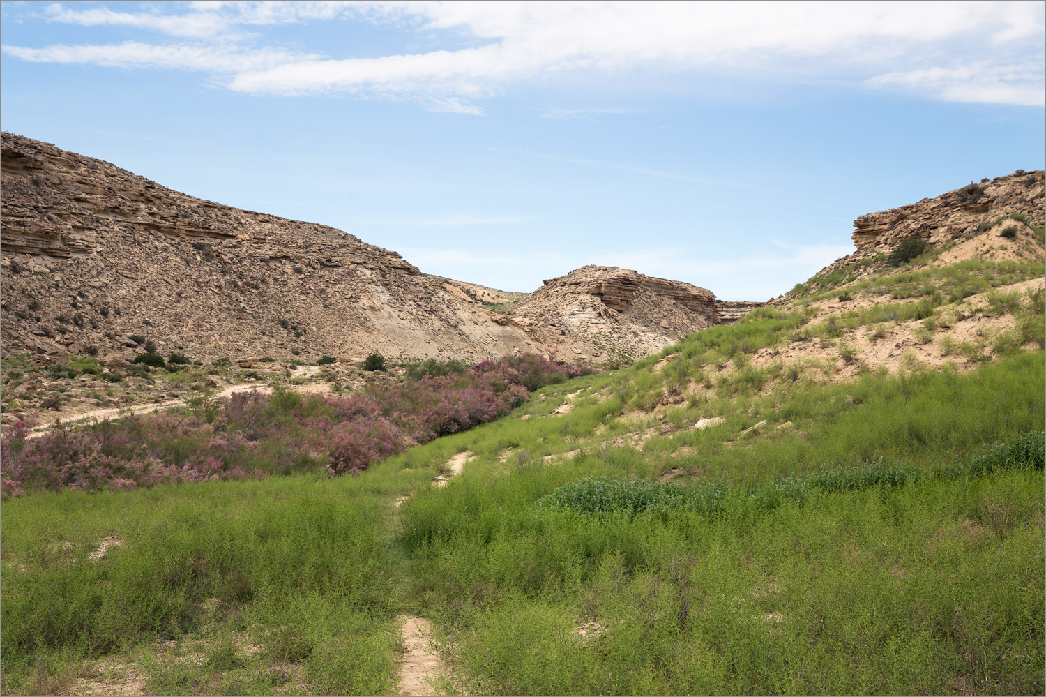 Саура, image of landscape/habitat.