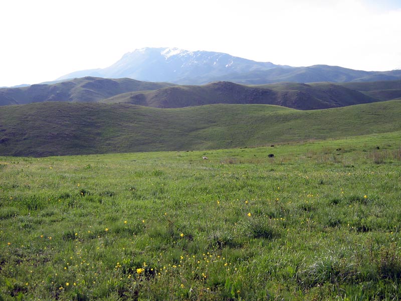 Хребет Жетыжол, image of landscape/habitat.