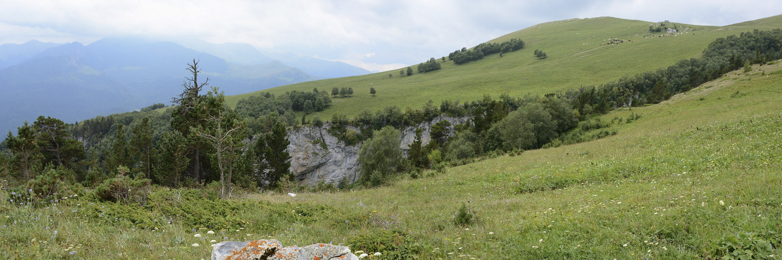 Водораздел ручьев Рожкао, image of landscape/habitat.