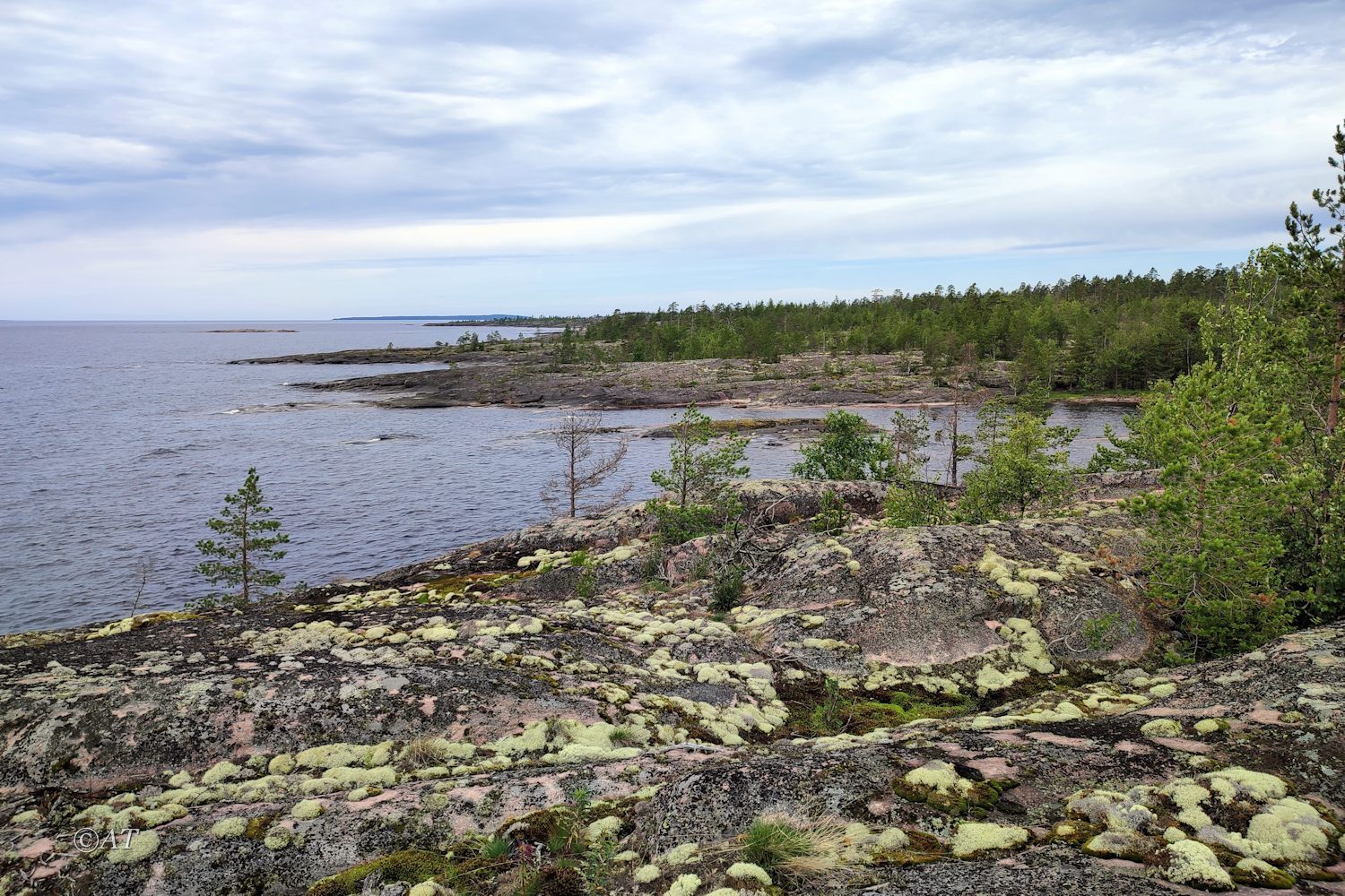 Остров Сюскюянсаари, image of landscape/habitat.