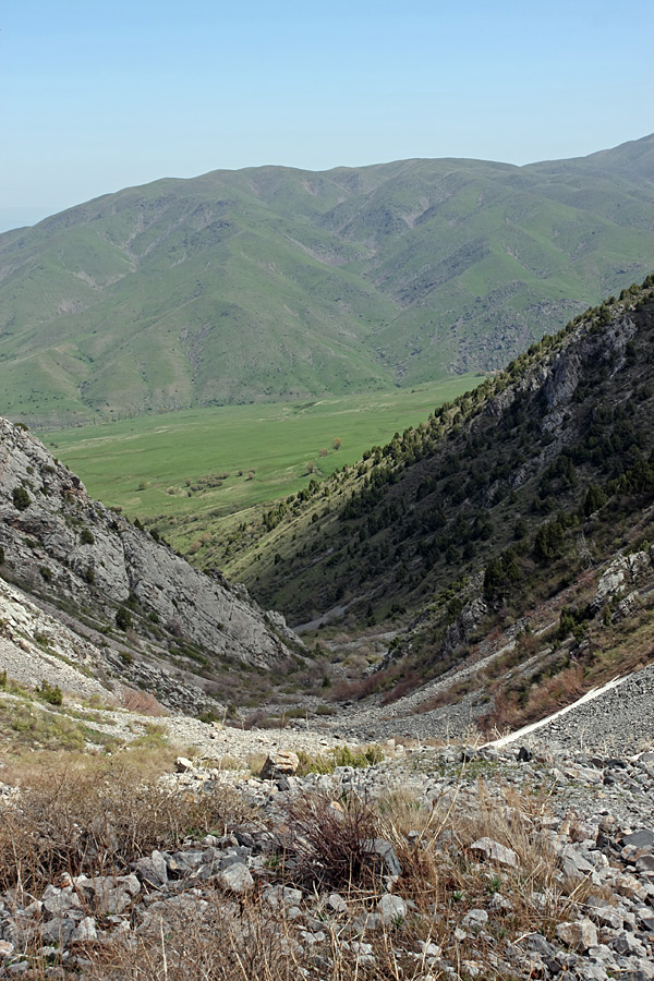 Ущелье Иргайлы, image of landscape/habitat.