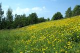 Кирхгофские высоты, image of landscape/habitat.