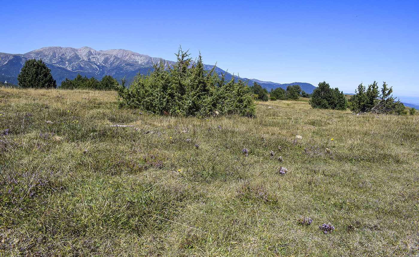 Перевал Коль-де-Арес, image of landscape/habitat.