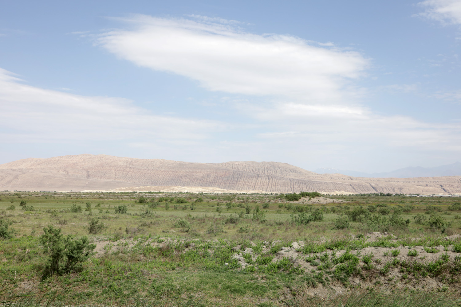 Окрестности кишлака Шадаказык, image of landscape/habitat.