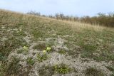 Неберджаевская и окрестности, image of landscape/habitat.