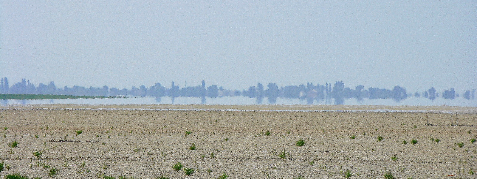 Ханское озеро, изображение ландшафта.