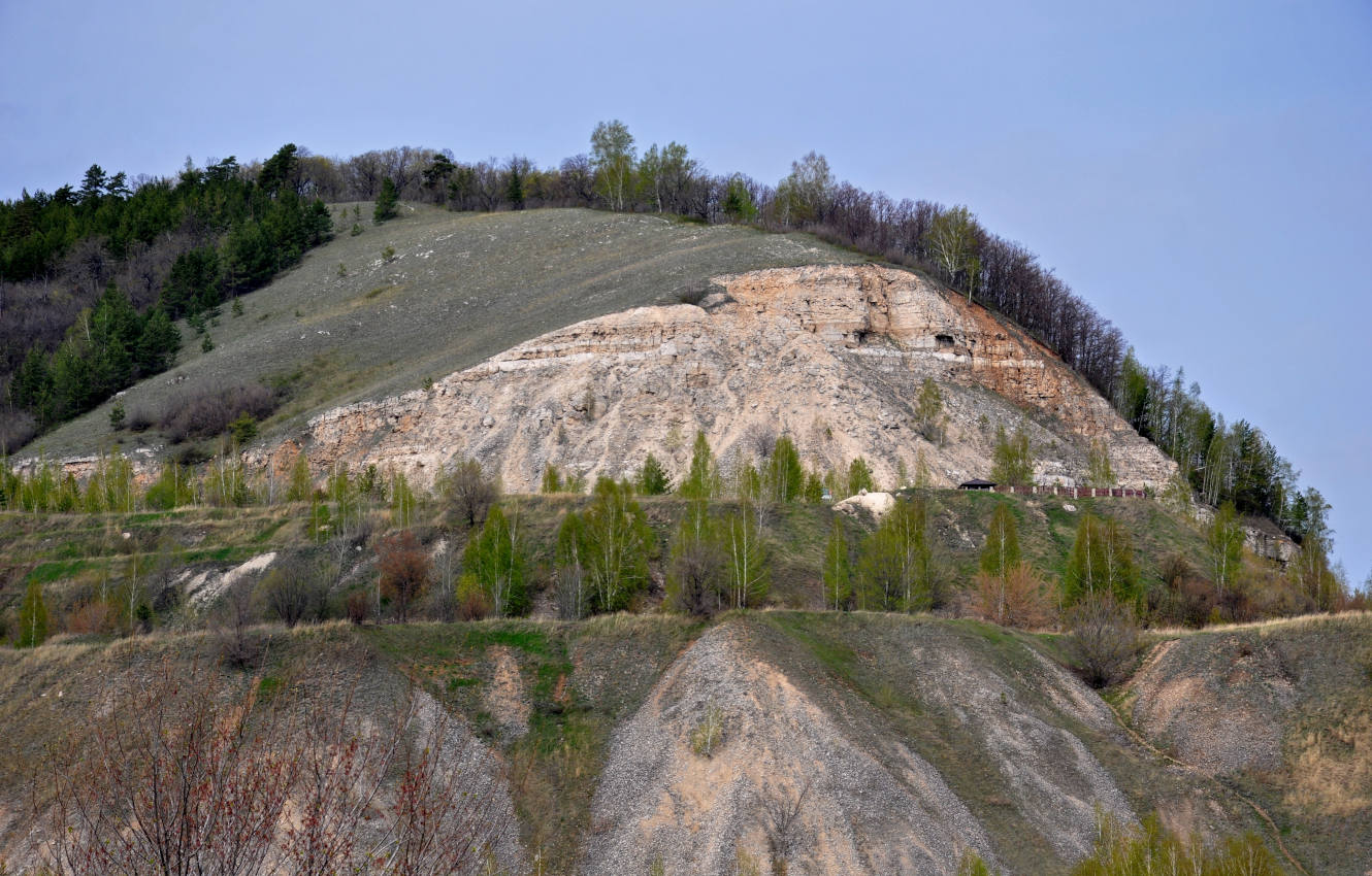 Попова гора, image of landscape/habitat.