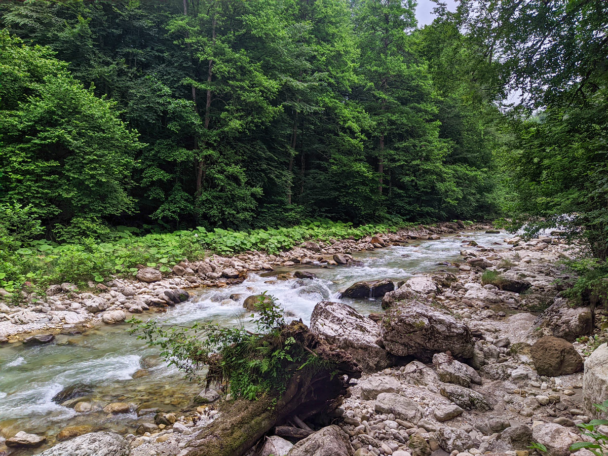 Долина реки Сауардон, image of landscape/habitat.