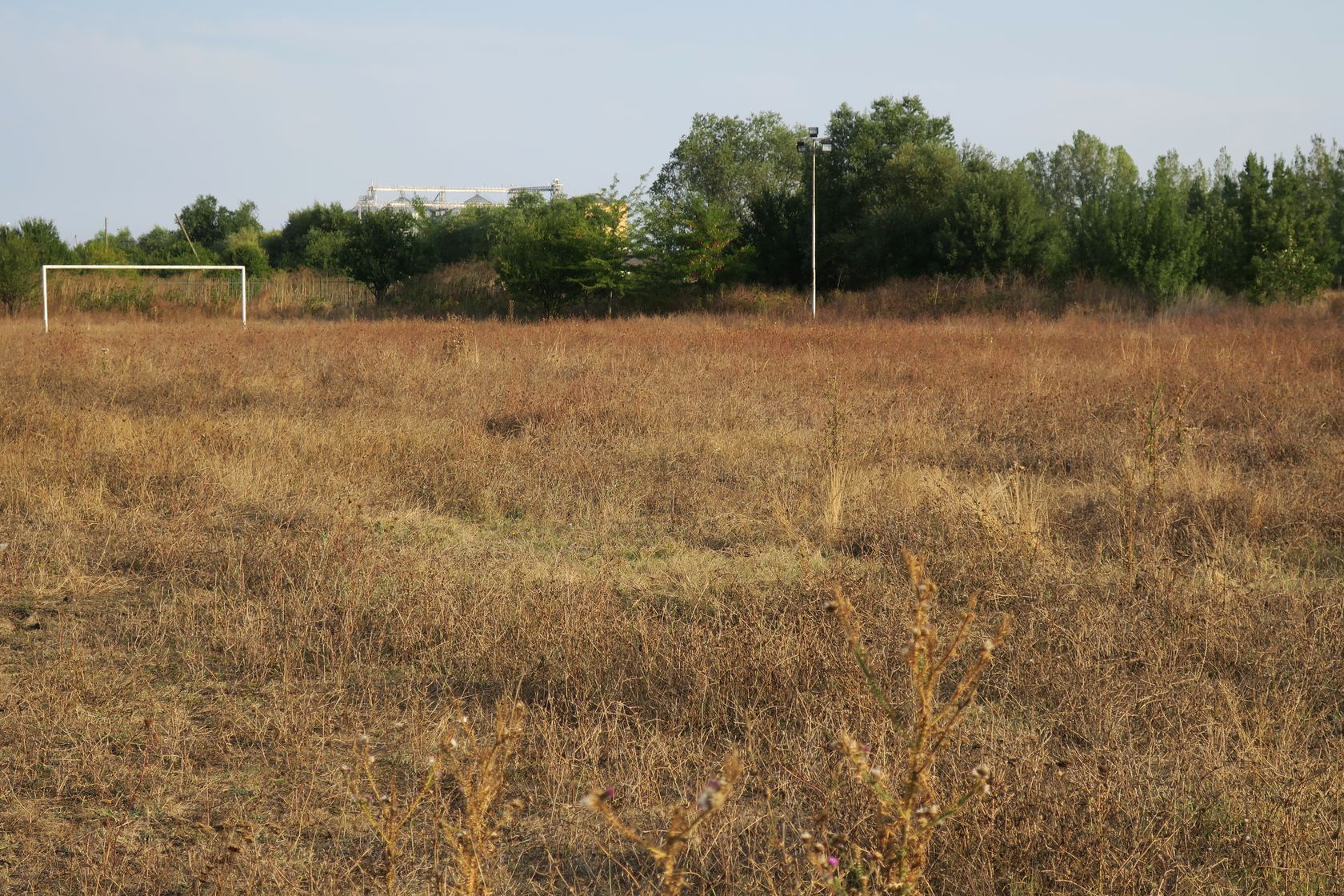 Оризаре, image of landscape/habitat.