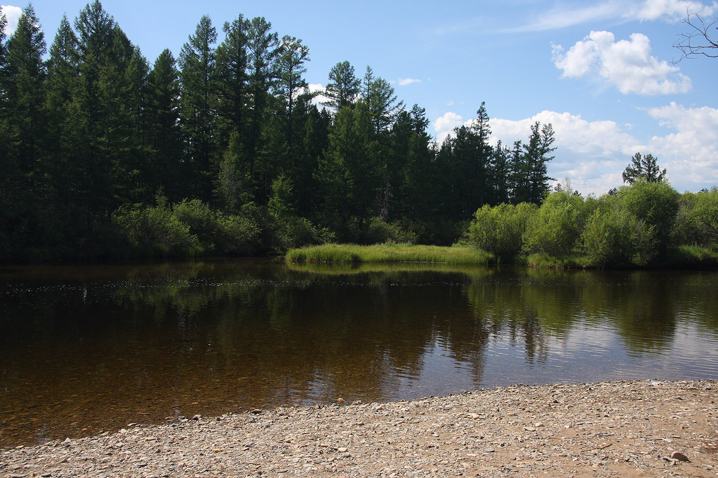 Окрестности Северного, image of landscape/habitat.