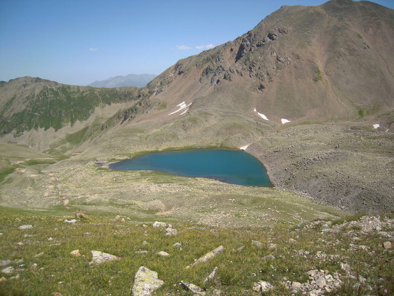 Озеро в верховье реки Муха, image of landscape/habitat.