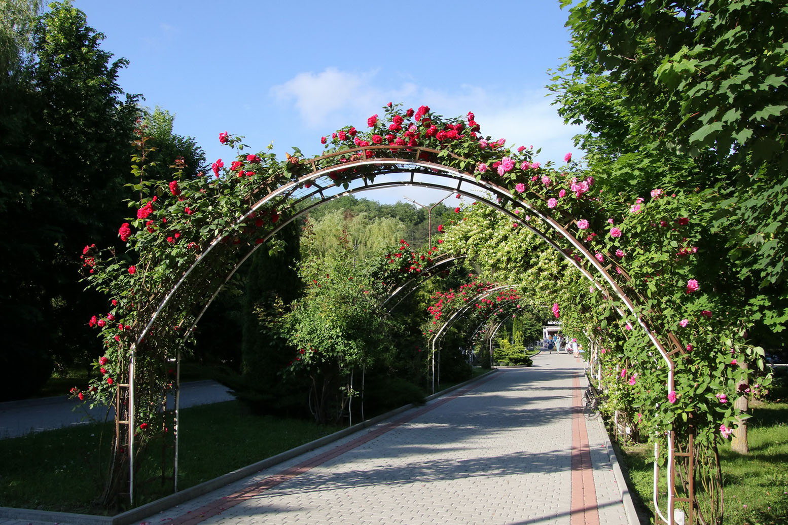 Абрау-Дюрсо, image of landscape/habitat.