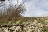 Image of landscape