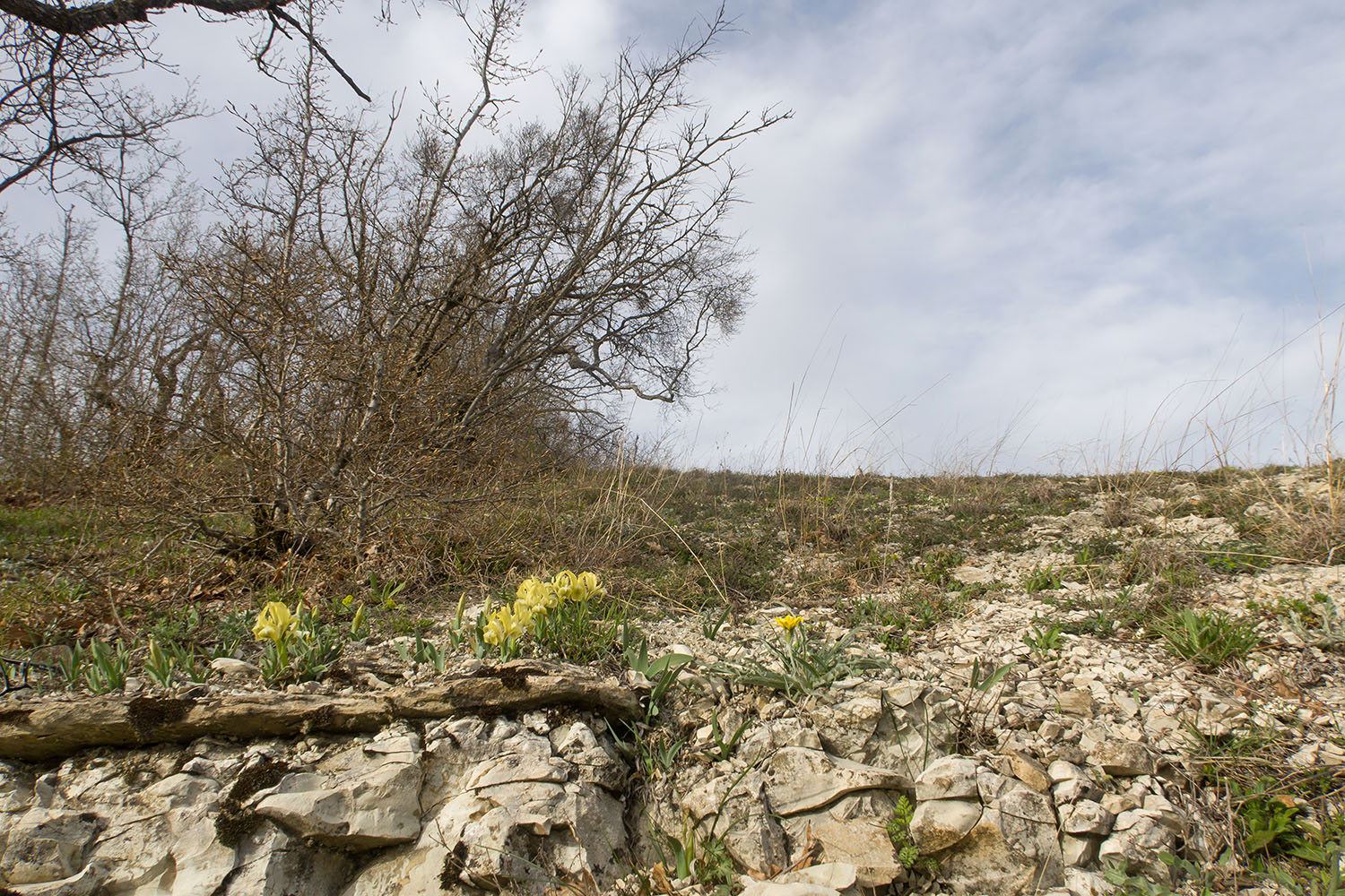 Неберджаевская и окрестности, image of landscape/habitat.
