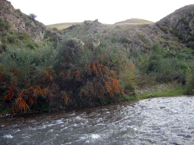 Ущелье Жинишке, image of landscape/habitat.