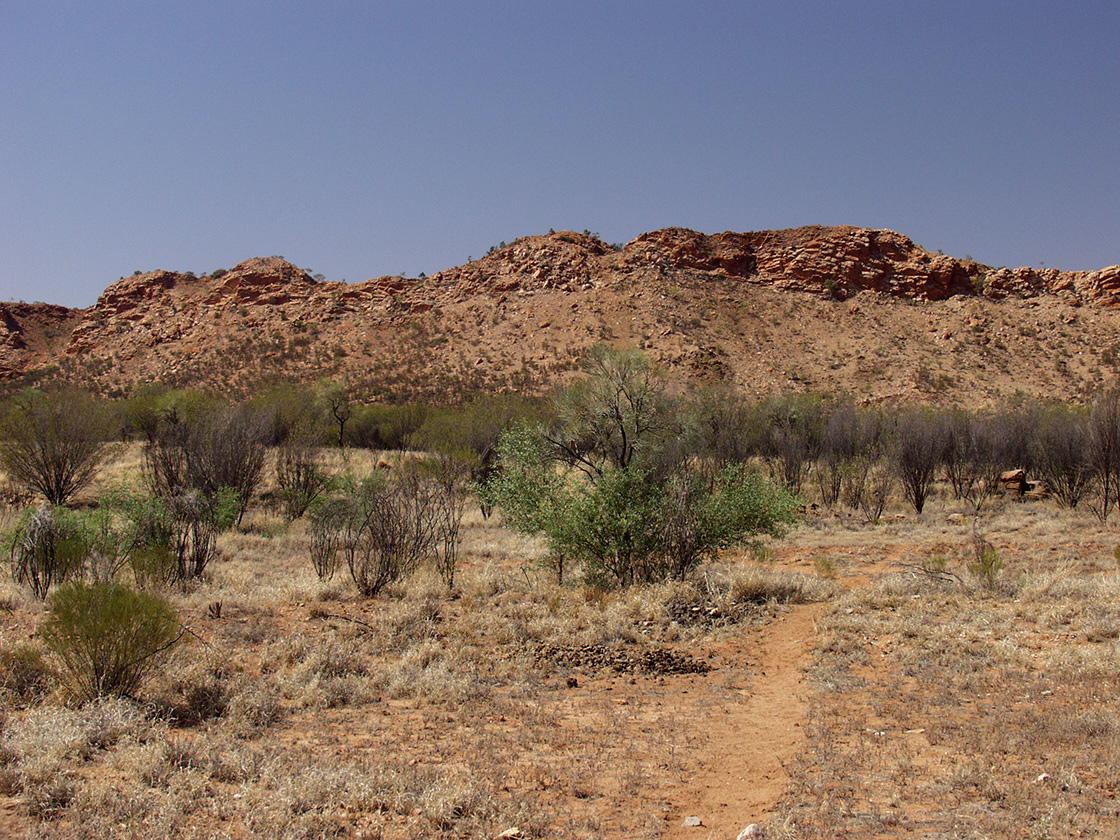 Alice Springs и окрестности, image of landscape/habitat.