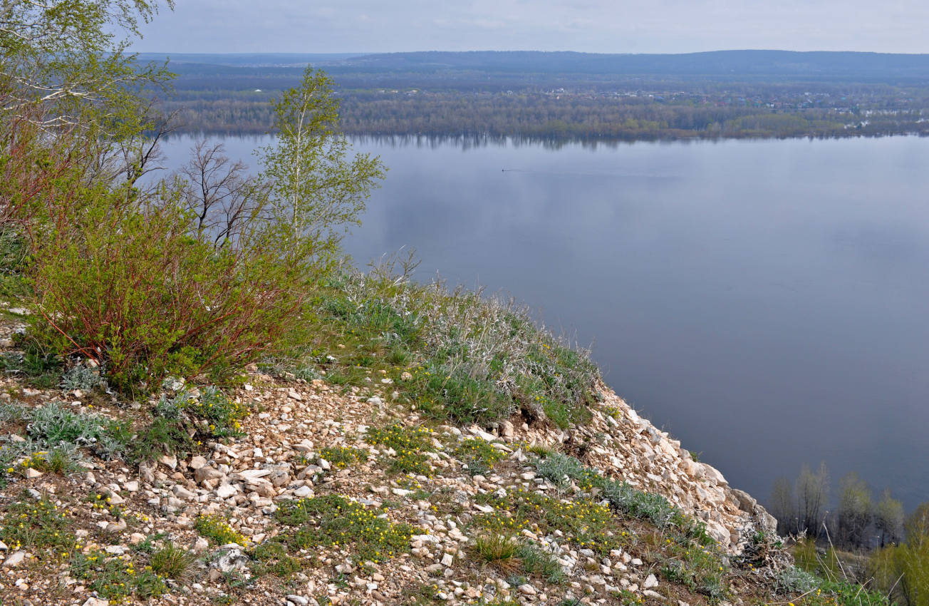 Попова гора, image of landscape/habitat.