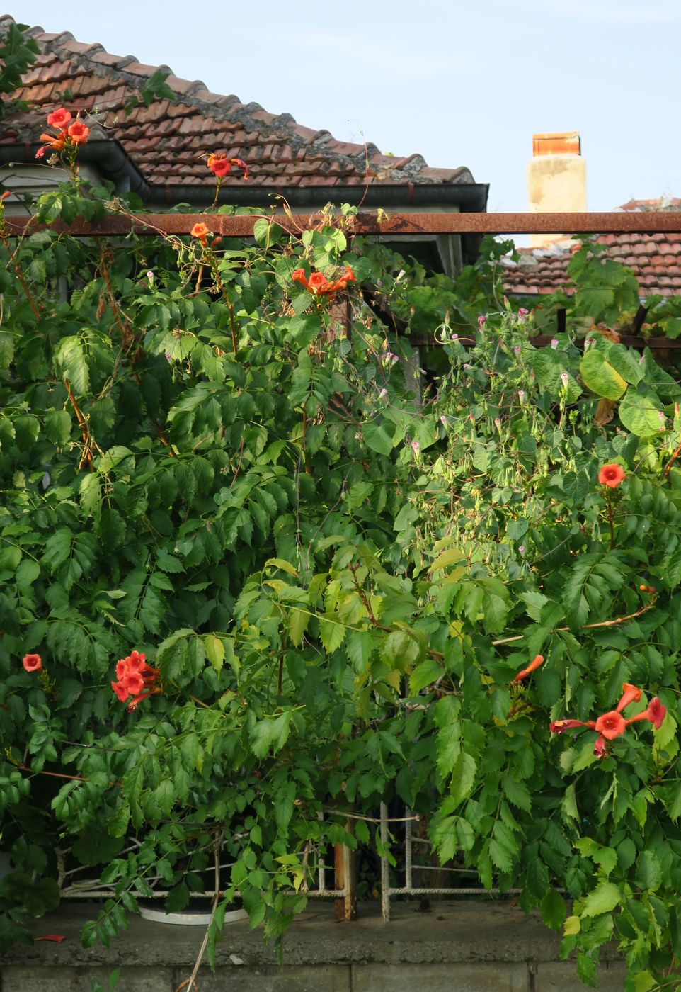 Оризаре, image of landscape/habitat.