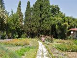 Сухумский ботанический сад, изображение ландшафта.