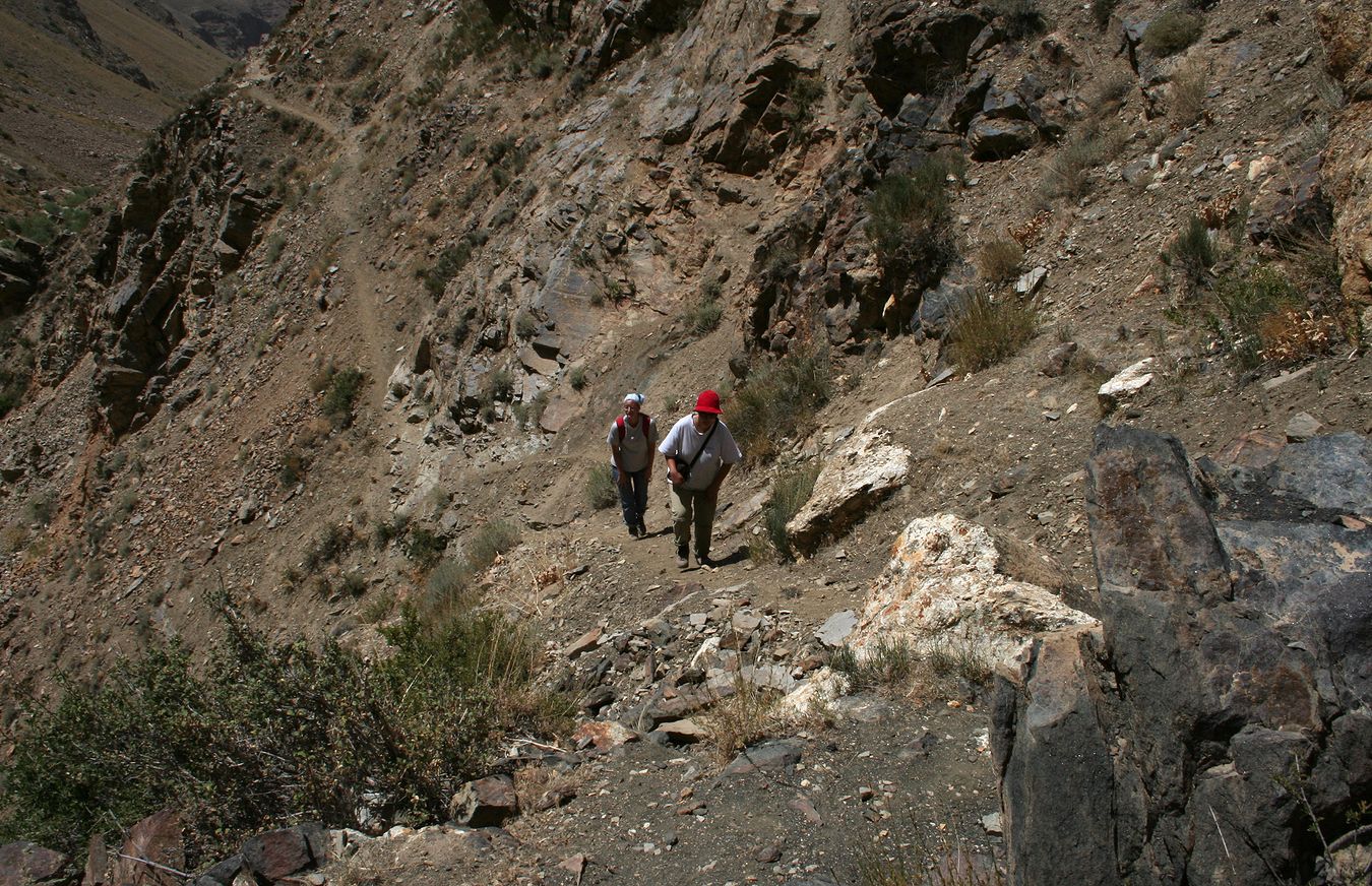 Богушдара, image of landscape/habitat.