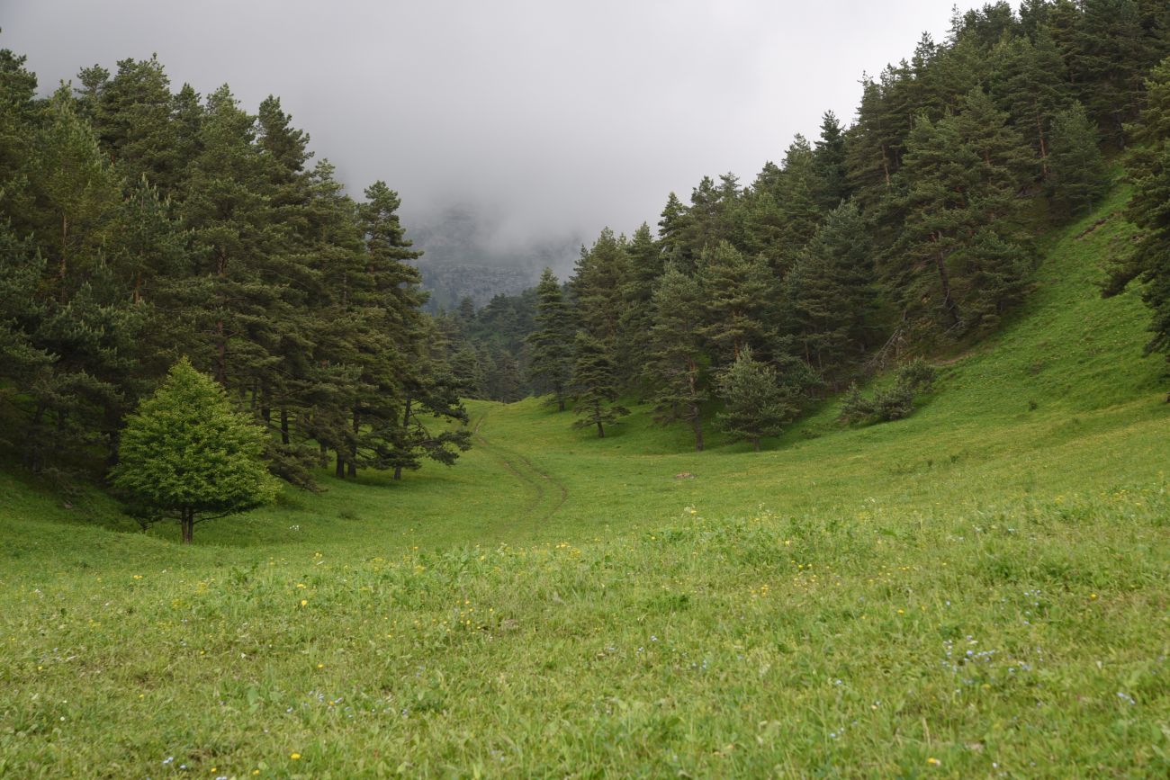 Окрестности урочища Никойте, image of landscape/habitat.