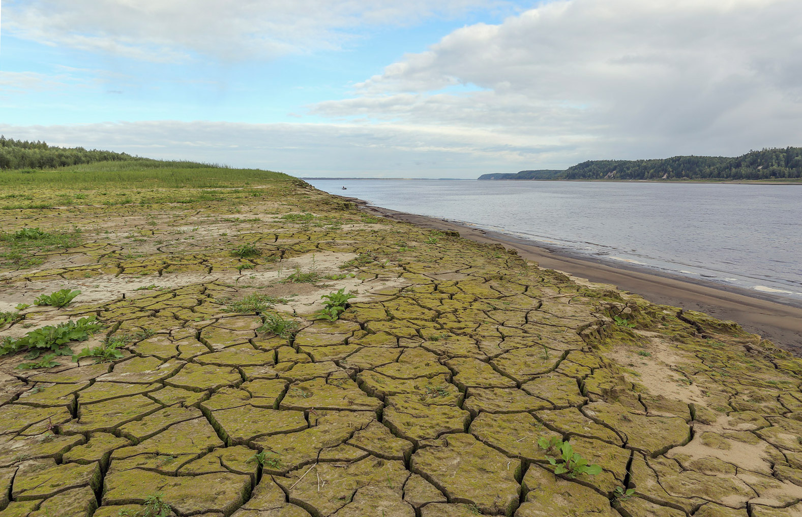 Окрестности Горнореченска, image of landscape/habitat.