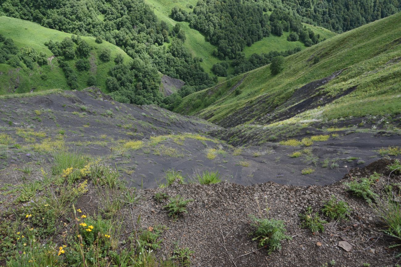Хиндушты, image of landscape/habitat.