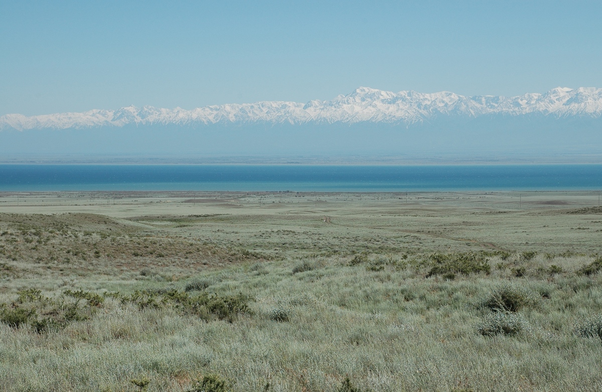 Шолак, image of landscape/habitat.