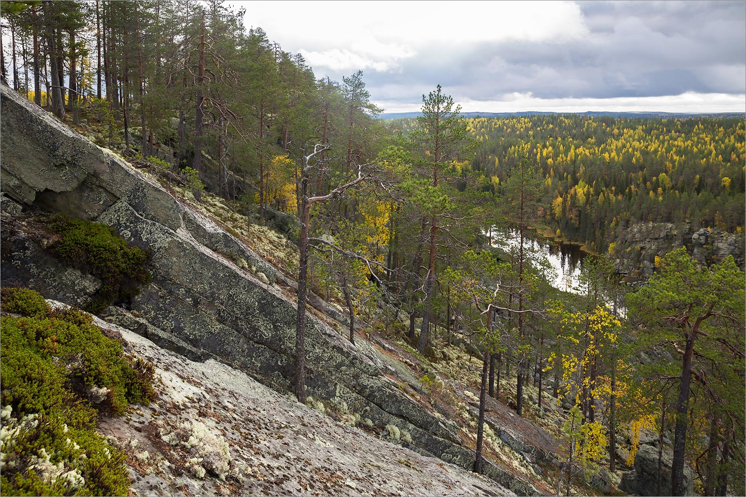 Пизанец, image of landscape/habitat.