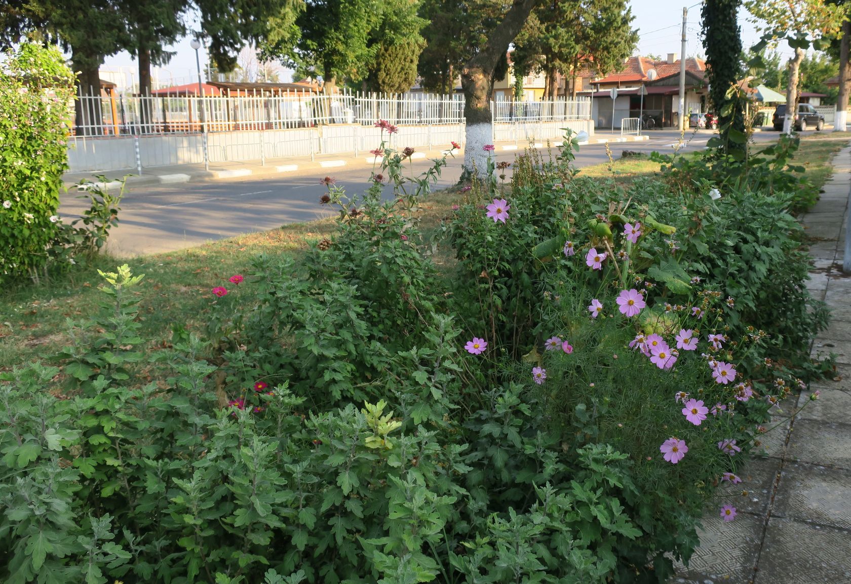 Оризаре, image of landscape/habitat.