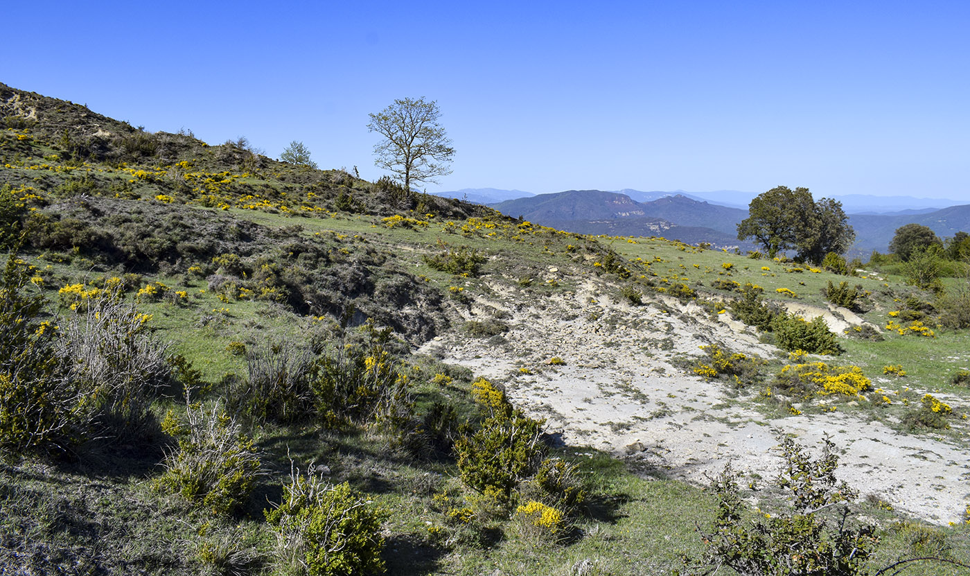 Окрестности часовни де-ла-Салют, image of landscape/habitat.