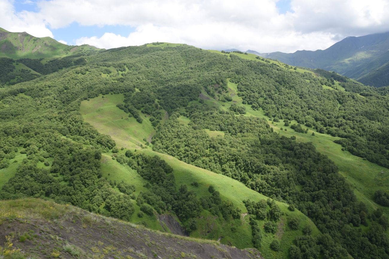 Хиндушты, image of landscape/habitat.