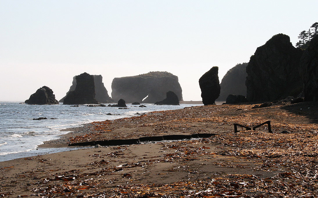 Мыс Великан, image of landscape/habitat.