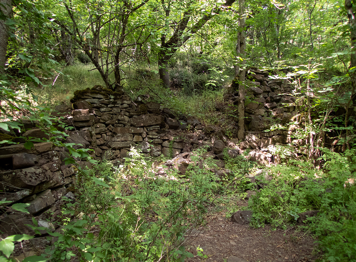 Долина реки Сотера, image of landscape/habitat.