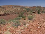 Alice Springs и окрестности, image of landscape/habitat.