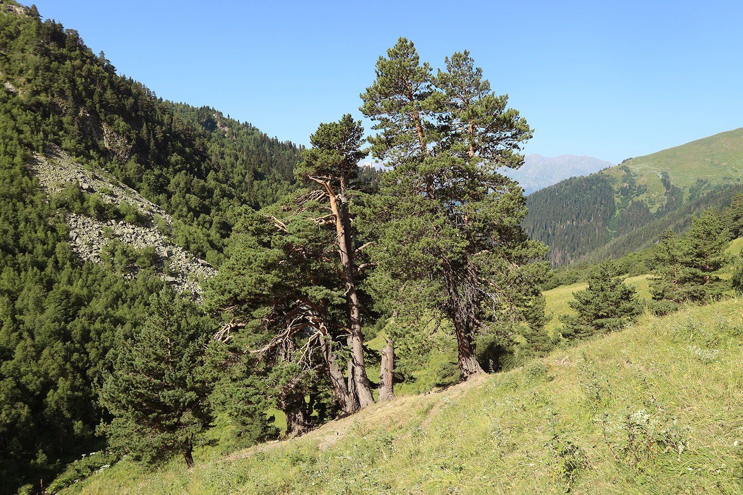 Долина реки Загедан, image of landscape/habitat.