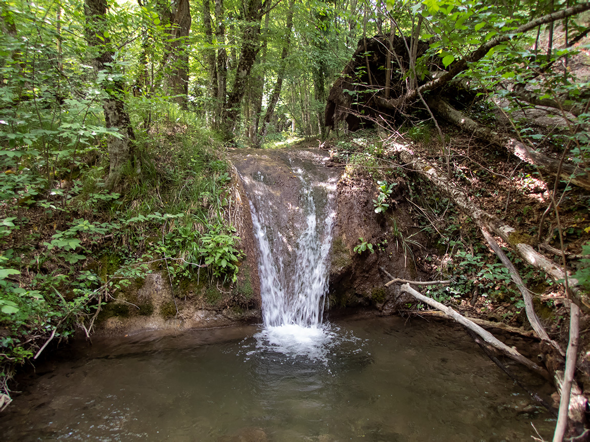 Долина реки Сотера, image of landscape/habitat.