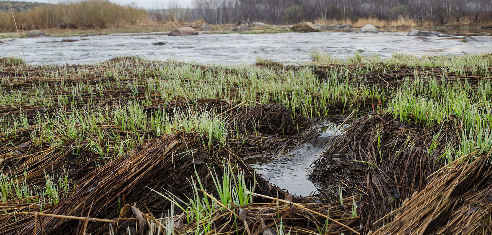 Окрестности Каменки, image of landscape/habitat.