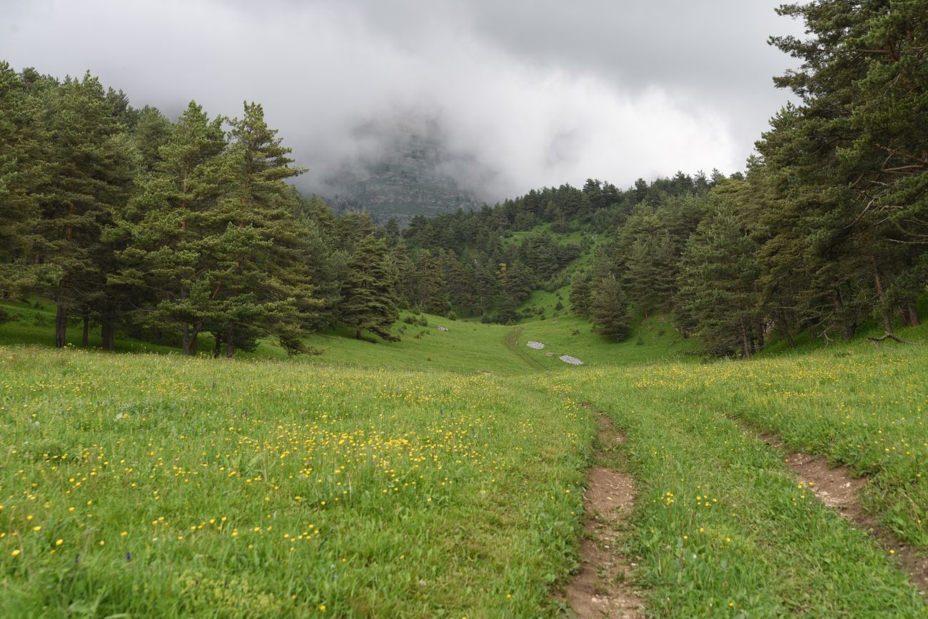 Окрестности урочища Никойте, image of landscape/habitat.