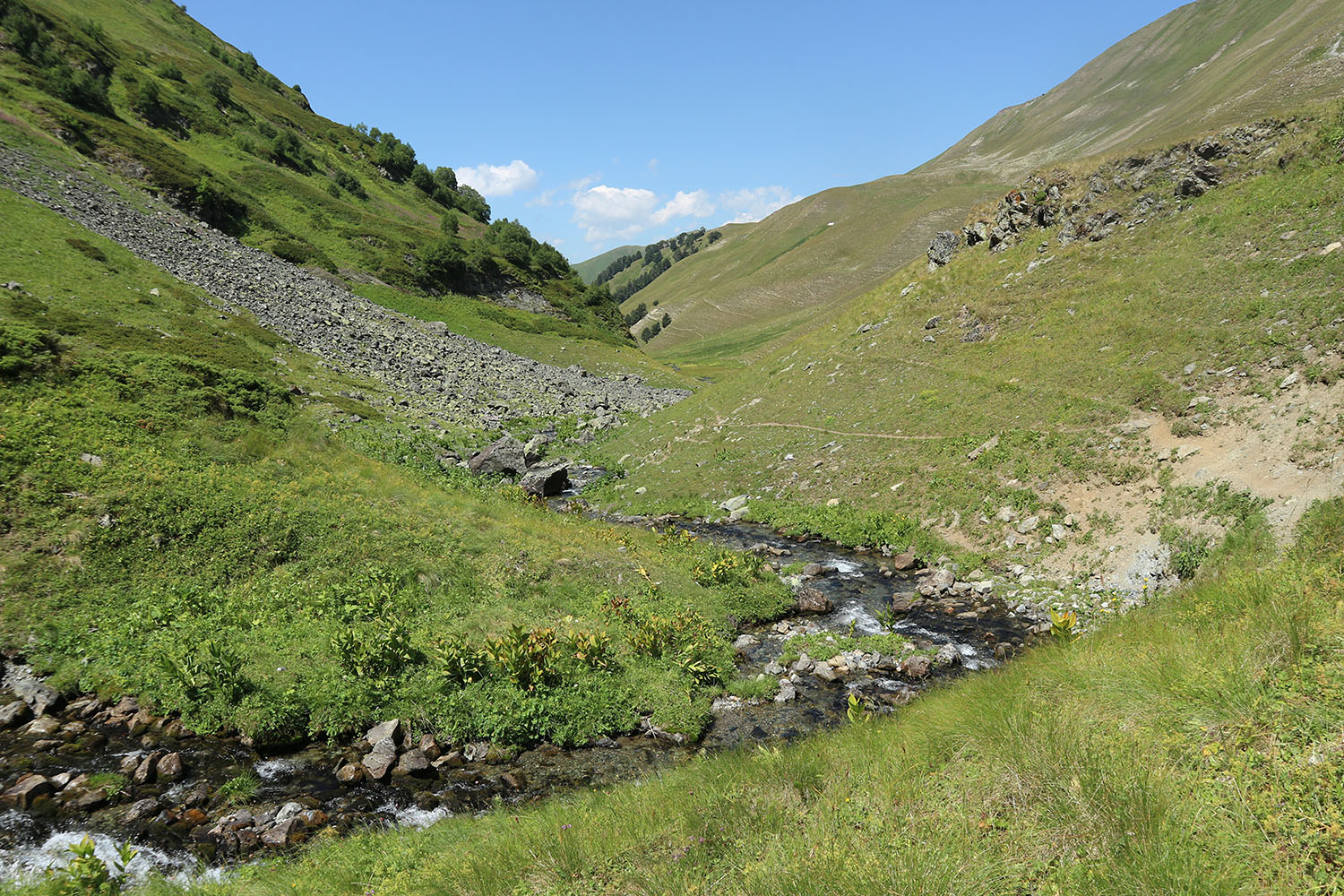 Долина реки Загедан, image of landscape/habitat.