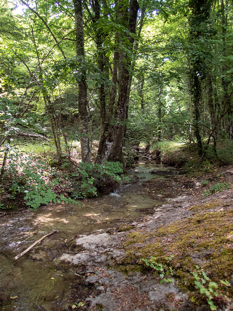 Долина реки Сотера, image of landscape/habitat.