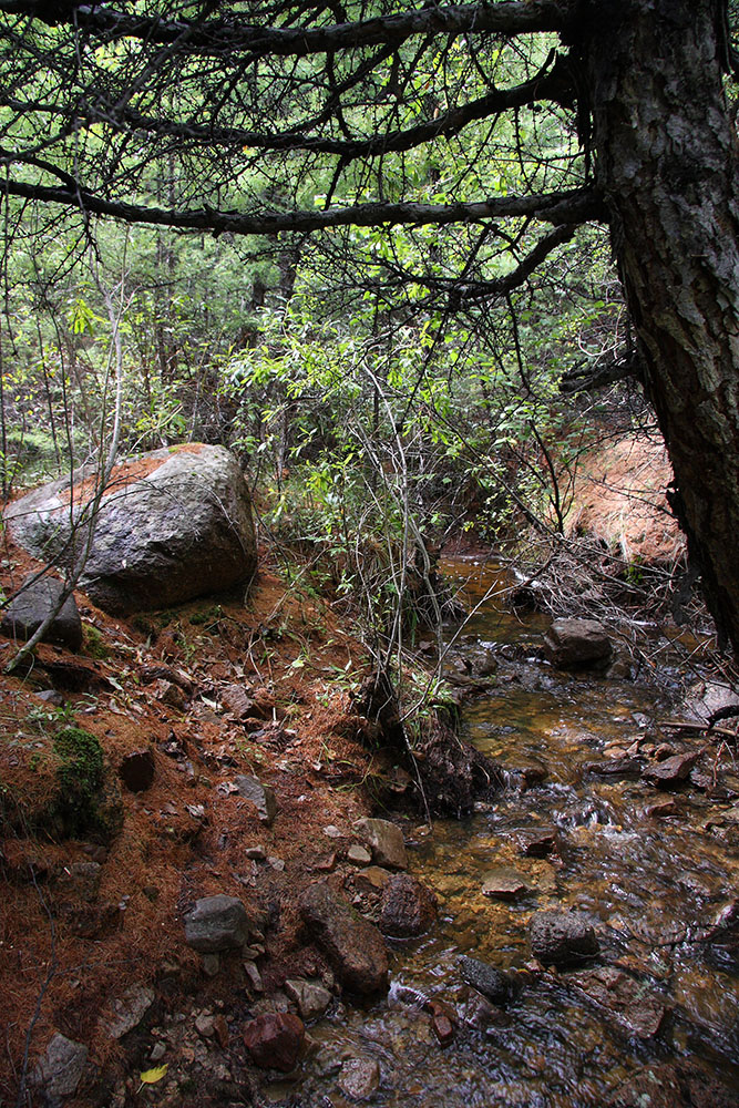 Окрестности Северного, image of landscape/habitat.