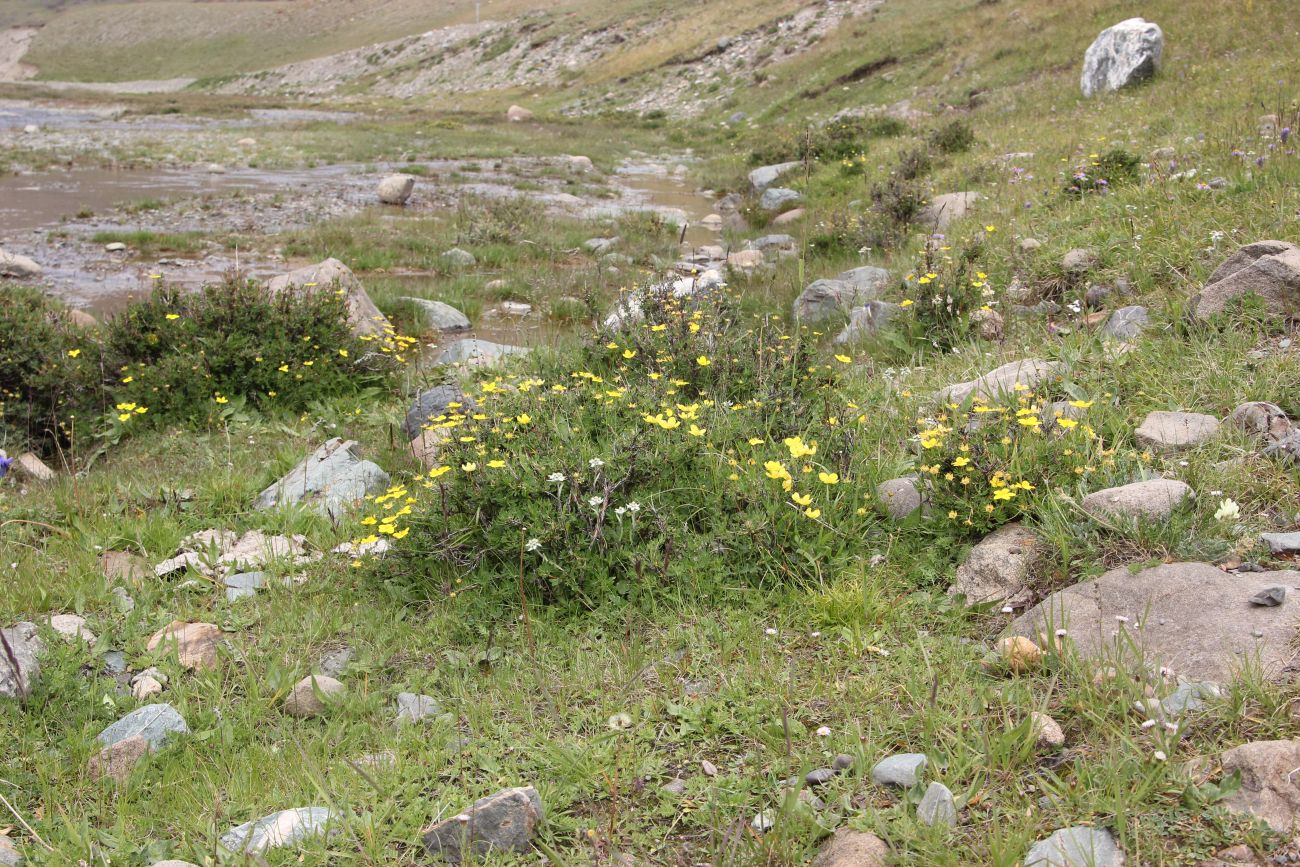 Долина р. Тархата, image of landscape/habitat.