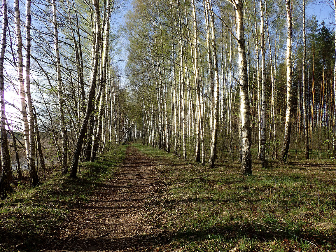 Национальный парк "Нарочанский", image of landscape/habitat.